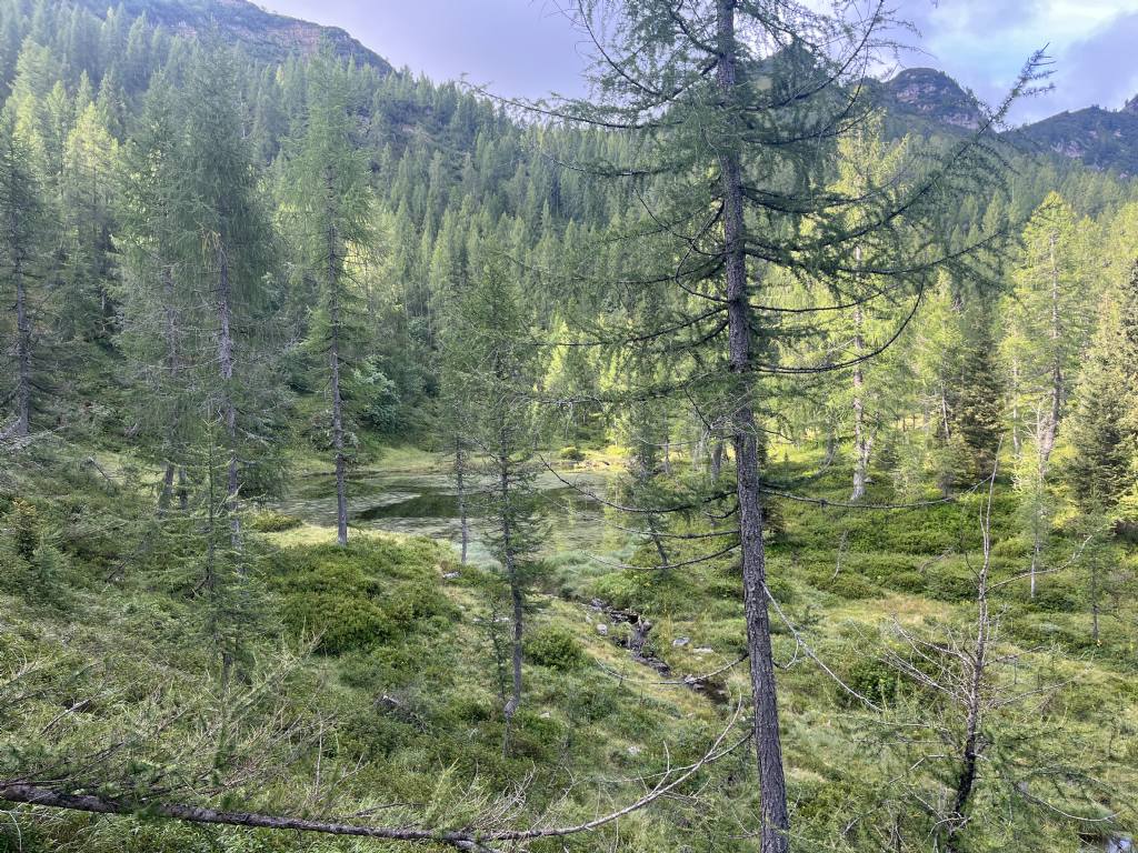 Laghi.......del TRENTINO